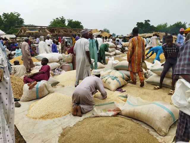 From N76,000 to N55,000: Abuja Vendors Hails FG, Celebrate Drop In Cost Of Rice