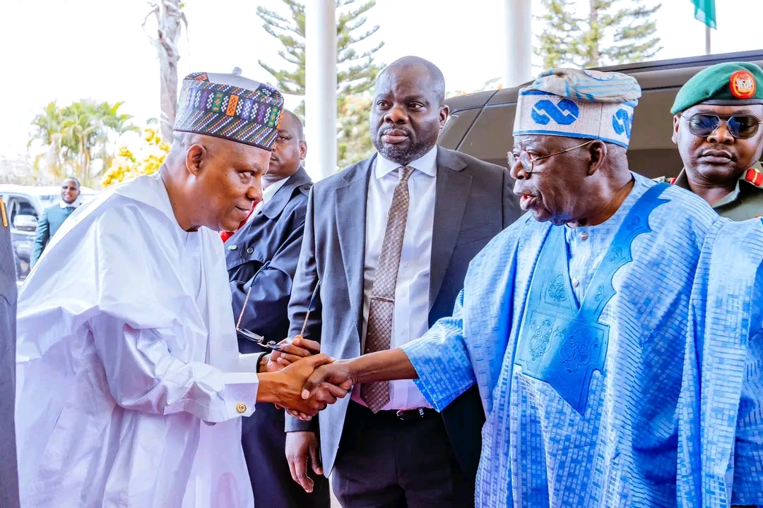VP Shettima at NEC Conference: Inclusive Growth, Economic Progress Must Filter Down To Everyday Lives Of Nigerian